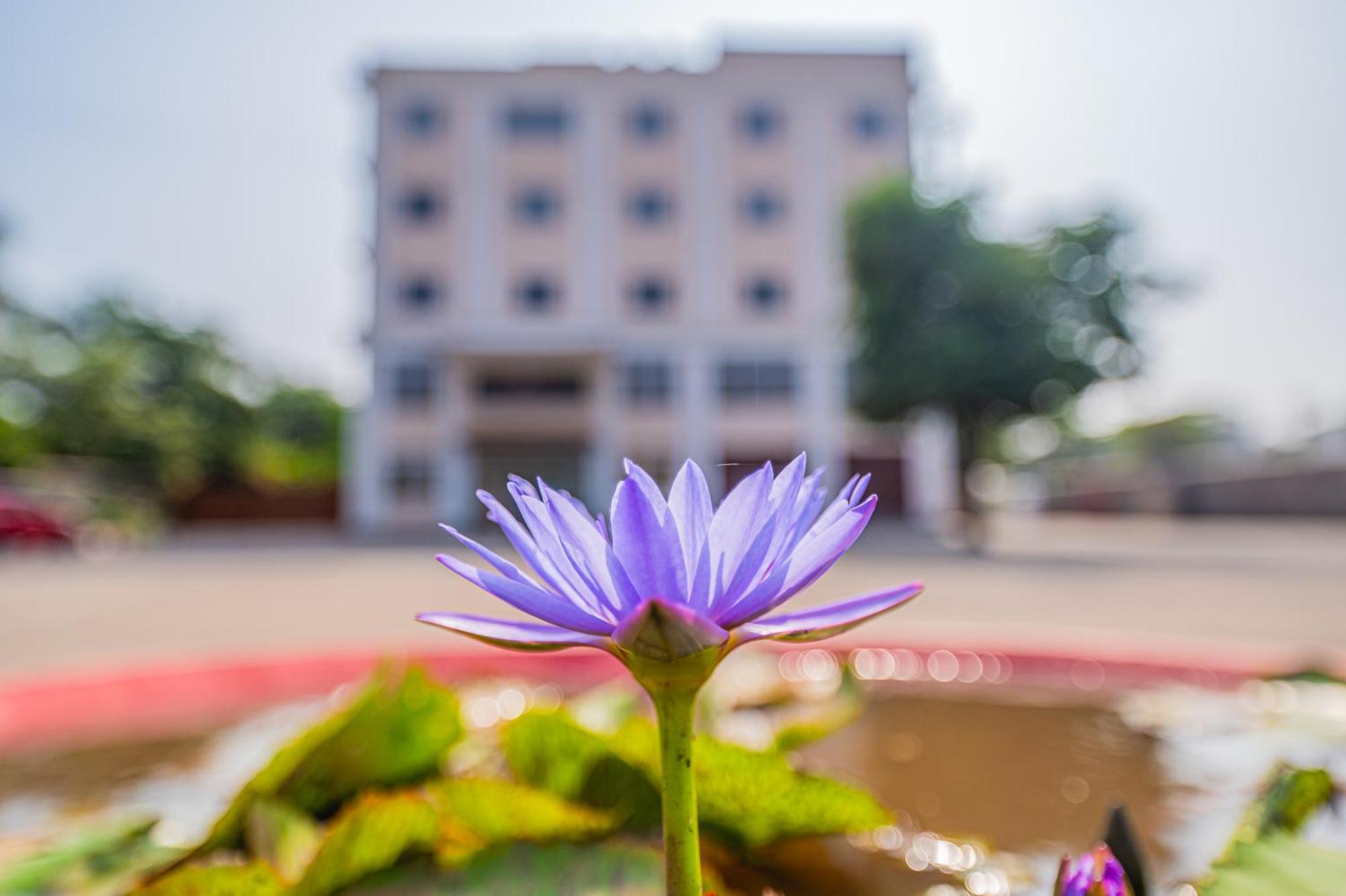 Готель Lotus Leaf Pali  Екстер'єр фото